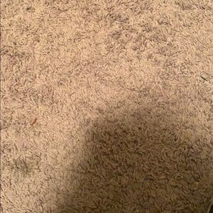 Meet your Posher, Todd